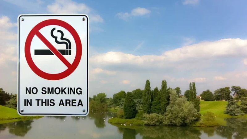 Een bord in een Engels landschap met daarop een verboden-te-roken pictogram en de tekst: No Smoking in this Area
